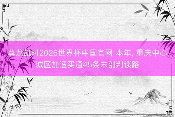 尊龙凯时2026世界杯中国官网 本年， 重庆中心城区加速买通45条未剖判谈路