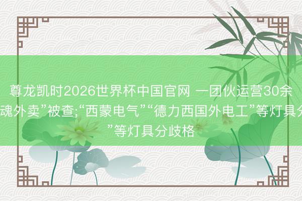 尊龙凯时2026世界杯中国官网 一团伙运营30余家“幽魂外卖”被查;“西蒙电气”“德力西国外电工”等灯具分歧格