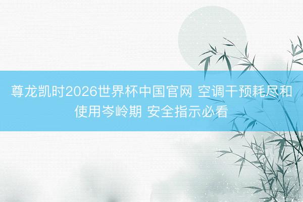 尊龙凯时2026世界杯中国官网 空调干预耗尽和使用岑岭期 安全指示必看
