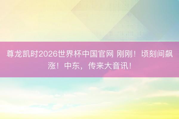 尊龙凯时2026世界杯中国官网 刚刚！顷刻间飙涨！中东，传来大音讯！