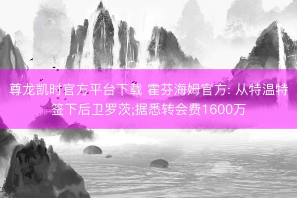尊龙凯时官方平台下载 霍芬海姆官方: 从特温特签下后卫罗茨;据悉转会费1600万
