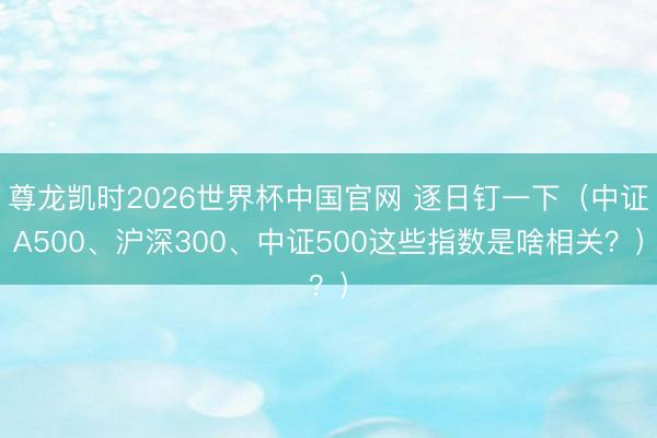 尊龙凯时2026世界杯中国官网 逐日钉一下（中证A500、沪深300、中证500这些指数是啥相关？）