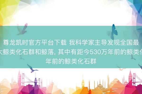 尊龙凯时官方平台下载 我科学家主导发现全国最深最大鲸类化石群和鲸落， 其中有距今530万年前的鲸类化石群