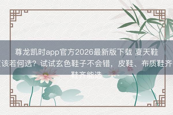 尊龙凯时app官方2026最新版下载 夏天鞋子应该若何选？试试玄色鞋子不会错，皮鞋、布质鞋齐能选