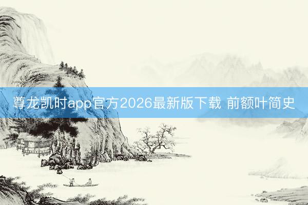 尊龙凯时app官方2026最新版下载 前额叶简史