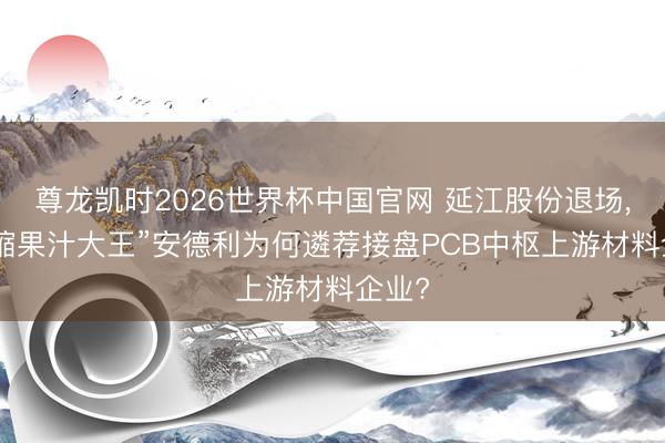 尊龙凯时2026世界杯中国官网 延江股份退场， “浓缩果汁大王”安德利为何遴荐接盘PCB中枢上游材料企业?