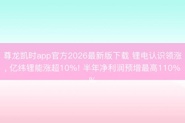 尊龙凯时app官方2026最新版下载 锂电认识领涨， 亿纬锂能涨超10%! 半年净利润预增最高110%