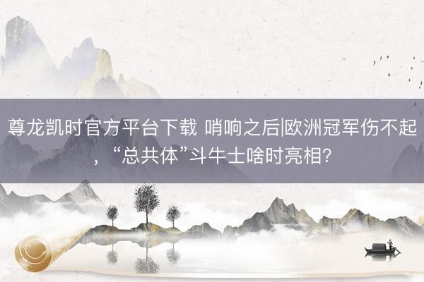 尊龙凯时官方平台下载 哨响之后|欧洲冠军伤不起,“总共体”斗牛士啥时亮相?