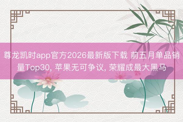 尊龙凯时app官方2026最新版下载 前五月单品销量Top30, 苹果无可争议, 荣耀成最大黑马